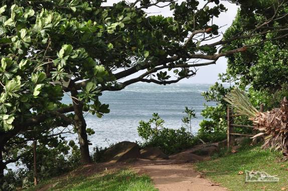 Trilha na região da Barra da Lagoa, em Florianópolis, Santa Catarina